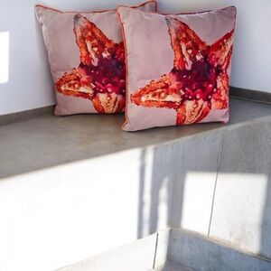 FRONTGATE NEW INDOOR OUTDOOR ACCENT PILLOWS 20 x 20